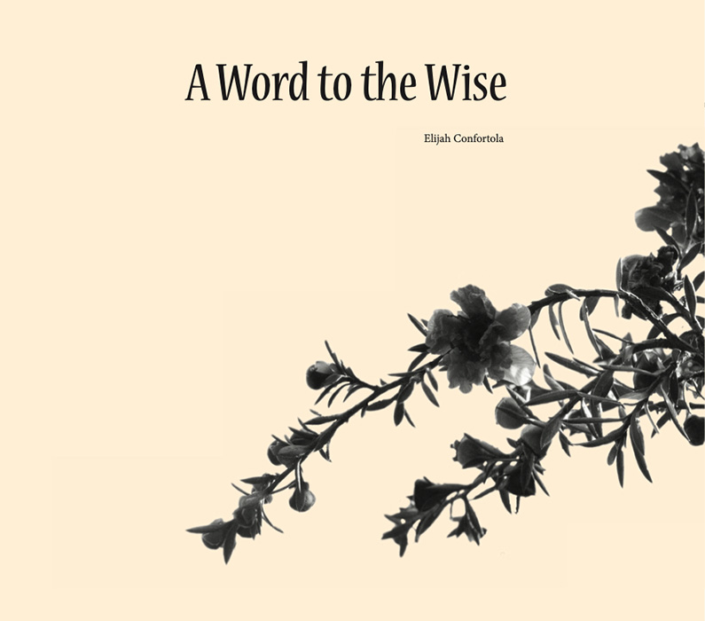 Book by Elijah Confortola